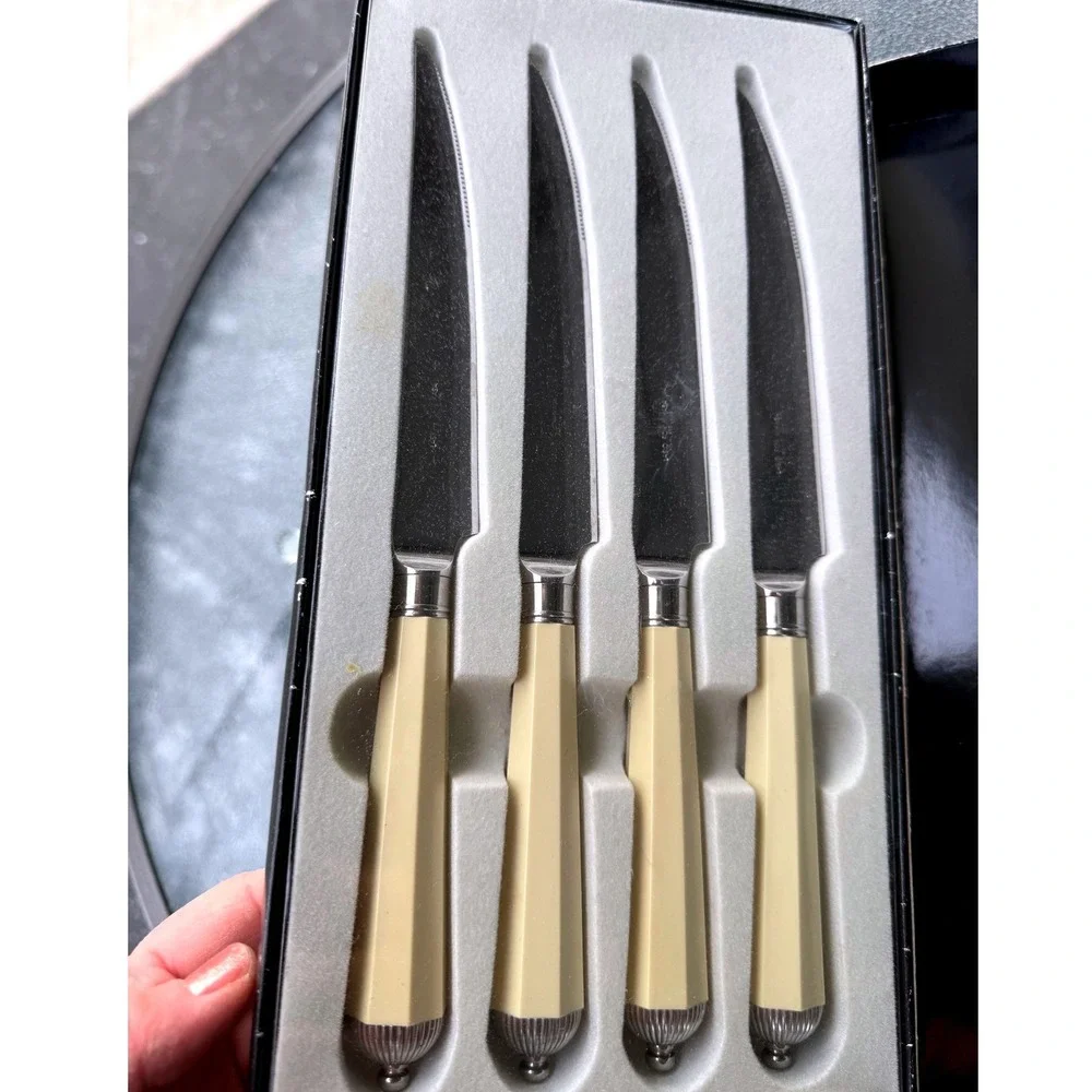 NIB VTG Mikasa Waldorf Steak Knife Set 4 Piece Ivory Silver Japan Unused‎